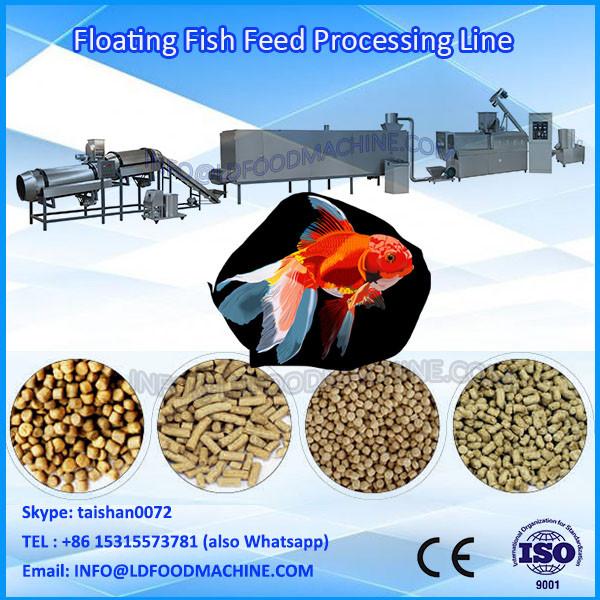 Floating fish feed machinery