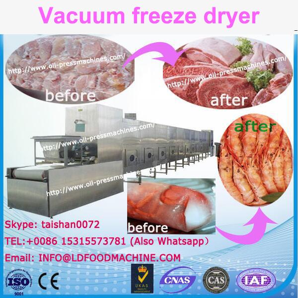 small freeze dryer fruit freeze drying machinery