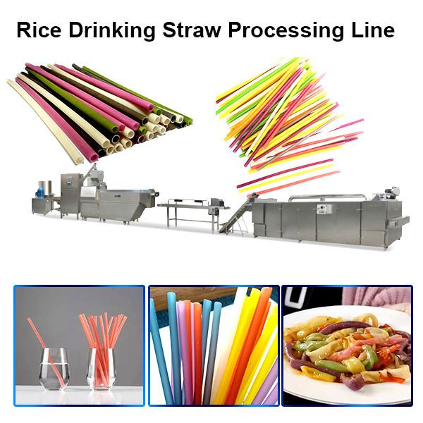 Rice Straw Equipment Color Edible Drinking Straw Production Line Green Food Straw Korea Extruder Equipment