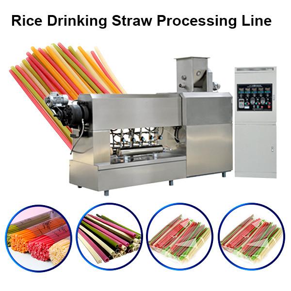 New material edible rice tapioca sucking tube equipment pasta straw process line rice flour drink pipe extruder
